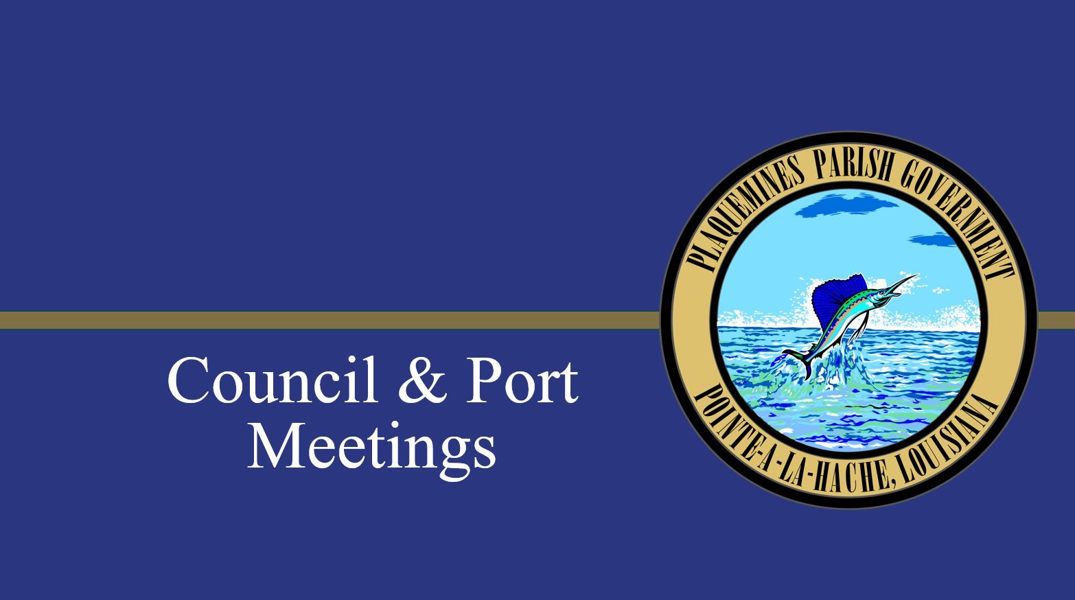 Port and Council Meetings