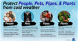 protect people pets pipes and plants from cold wea
