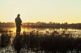 Person fishing in a shallow area